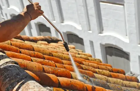 Démoussage de toiture au Bouscat